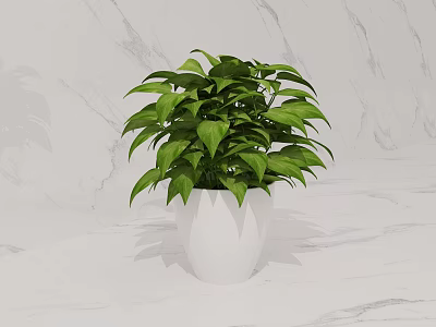 Lush Green Potted Plant in White Ceramic Pot on Marble Tabletop 3d model