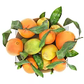 Fresh Oranges Lemons Limes In White Pedestal Bowl With Green Leaves On The Kinfolk Table