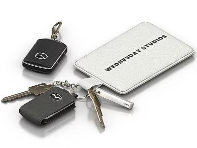 Wednesday Studios Leather Keychain Set With Car Keys And Card Holder 3d model