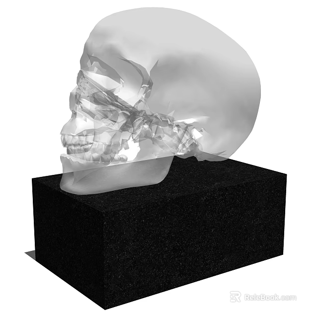 Modern Decorative Ornament Set With Transparent Skull Model On Black Base 3d model 