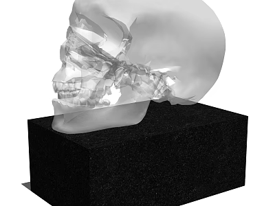 Modern Decorative Ornament Set With Transparent Skull Model On Black Base 3d model