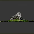 Natural Wooden Stump Featured On Circular Green Grass Outdoor Landscape