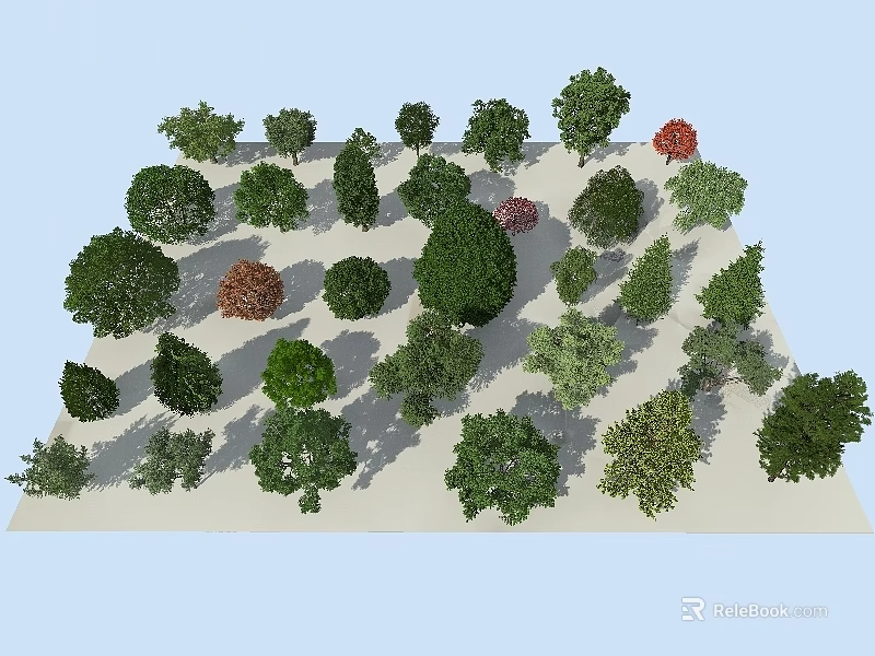 Various Arbor Tree Species With Diverse Foliage Shapes And Green Tones In Landscape 3d model 