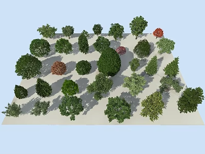 Various Arbor Tree Species With Diverse Foliage Shapes And Green Tones In Landscape 3d model