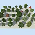 Various Arbor Tree Species With Diverse Foliage Shapes And Green Tones In Landscape