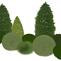 Lush Green Garden Shrubs With Various Shapes Conical And Spherical Neatly Trimmed For Landscaping