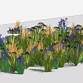 Lush Green Grass And Purple Flowers In Decorative Garden Plant