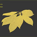Multiple Fresh Green Plant Leaves With Serrated Edges On Dark Background