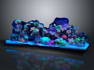 Colorful Marine Animals Thriving in Vibrant Coral Reef Aquarium with Luminous Decor and Colorful Coral 3d model