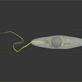 Green Leaf Shaped Euglena With Yellow Flagellum And Transparent Texture On Black Background With Reflection