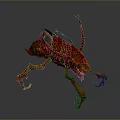 Red And Orange Insect With Chitinous Exoskeleton Long Legs And Textured Wings