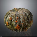 Vibrant Colorful Speckled Pumpkin With Textured Skin And Natural Stem