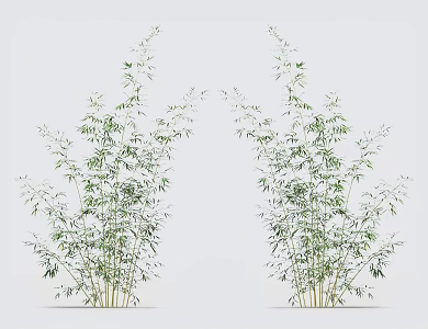 Modern bamboo 3d model