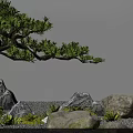 Courtyard Garden With Green Tree Rocks Small Plants And Gravel Ground