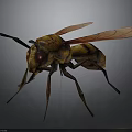 Detailed 3D Wasp Model With Yellow Black Stripes Red Eyes And Transparent Wings