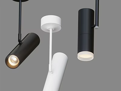 Modern Recessed Lights And Spotlights With Sleek Black White Design For Home Lighting 3d model