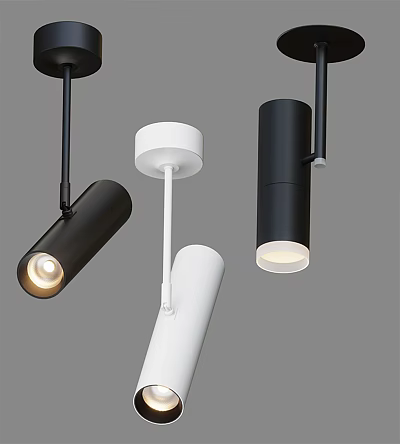 Modern Recessed Lights And Spotlights With Sleek Black White Design For Home Lighting 3d model