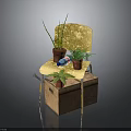 Yellow Velvet Chair Placed On Old Cardboard Box With Multiple Potted Plants