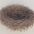 Natural Bird Nest Made Of Twigs Featuring Circular Shape And Textured Structure