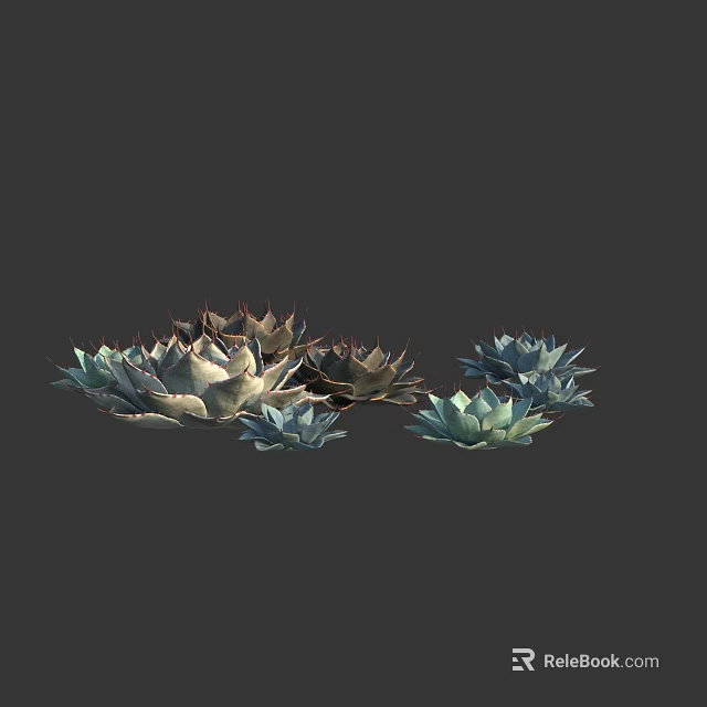 Various Succulent Plants With Green And Brown Thick Fleshy Leaves Arranged Together 3d model 