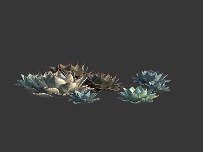 Various Succulent Plants With Green And Brown Thick Fleshy Leaves Arranged Together 3d model