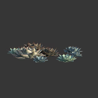 Modern agave agave meaty 3d model