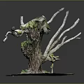 Old Tree Stump With Green Moss And Dry Branches On Grass Base 3d model