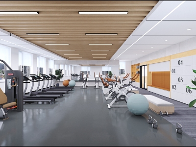 Gym 3d model