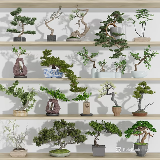 Bonsai Plants Display On Multiple Shelves With Various Styles And Green Foliage 3d model 