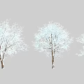 Three Snow Covered Arbor Trees With White Branches On Gray Background 3d model