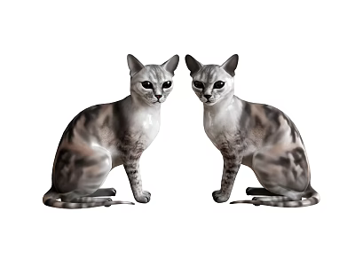 Two Gray And White Tabby Cats Sitting Together Looking At Camera 3d model