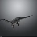 Realistic Sauropod Dinosaur Model With Long Neck Tail On Gray Background And Shadow Reflection 3d model