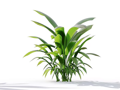Lush Green Leafy Plant With Large Healthy Leaves And Tall Stems 3d model
