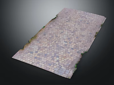 Multicolored Brick Paved Outdoor Ground With Small Green Plants On Edges 3d model