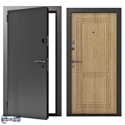 Modern Swing Door Designs In Dark And Wood Grain Finishes For Home 3d model