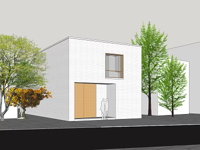 Modern White Detached Villa Exterior With Wooden Door And Green Trees Around Front 3d model