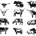 Animal Themed Wall Decor With Cow Silhouettes And Black White Design