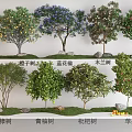 Modern Fruit Tree Plant Combination Orange Tree Blue Flower Jacaranda Green Pomelo Tree Loquat Tree Apple Tree Blue Tree Red Fruit Tree Fruit Tree Tangdi Tree Stone 3d model