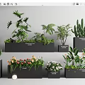 Various Bonsai Potted Plants Including Cactus Ferns And Flowering Varieties In Black Containers