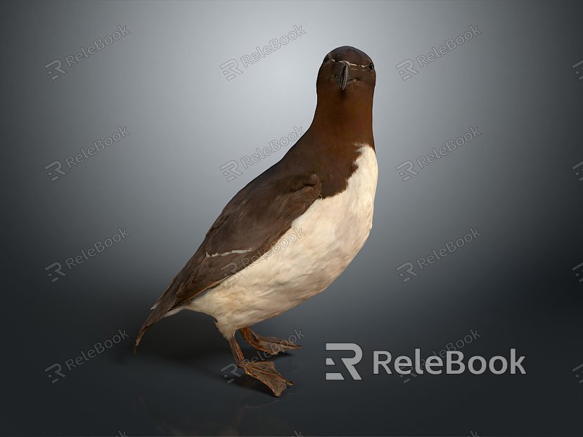 bird bird bird bird animal game animal cartoon animal pbr animal realistic animal model