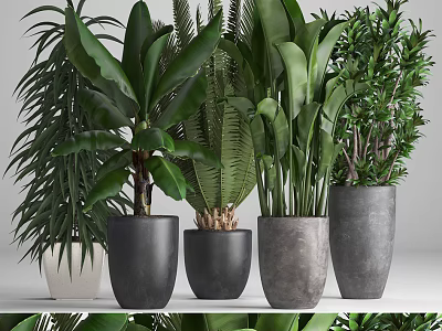 Various Green Leaf Potted Plants In Different Textured Colored Pots Arrangement 3d model