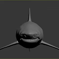 Realistic White Shark Model Featuring Smooth Surface on Dark Background with Reflection