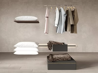 Stylish Hanging Clothes On Wooden Hangers With Neutral Wall And Storage Box Setup 3d model