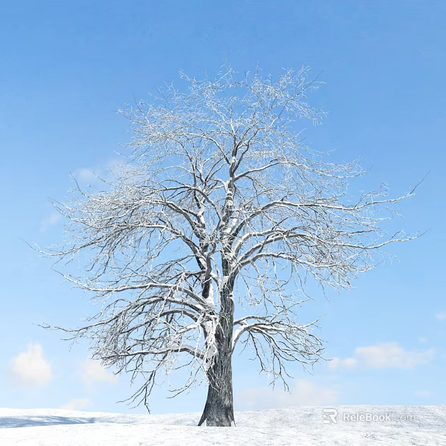 Winter Tree With Snow Covered Branches Against Blue Sky And White Clouds 3d model 