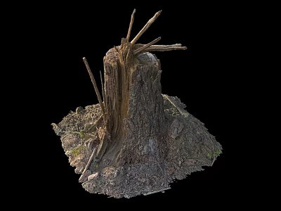 Natural Wood Stump With Rough Stone Base And Twigs In Outdoor Setting 3d model