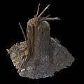 Natural Wood Stump With Rough Stone Base And Twigs In Outdoor Setting