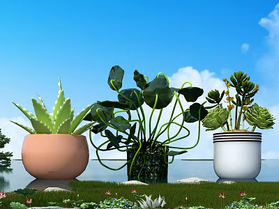 Bonsai Potted Plants in Brown Black White Pots on Grassland by Water Under Blue Sky 3d model