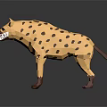 Spotted Hyena 3D Model in Low Poly Style with Yellow Fur and Brown Spots