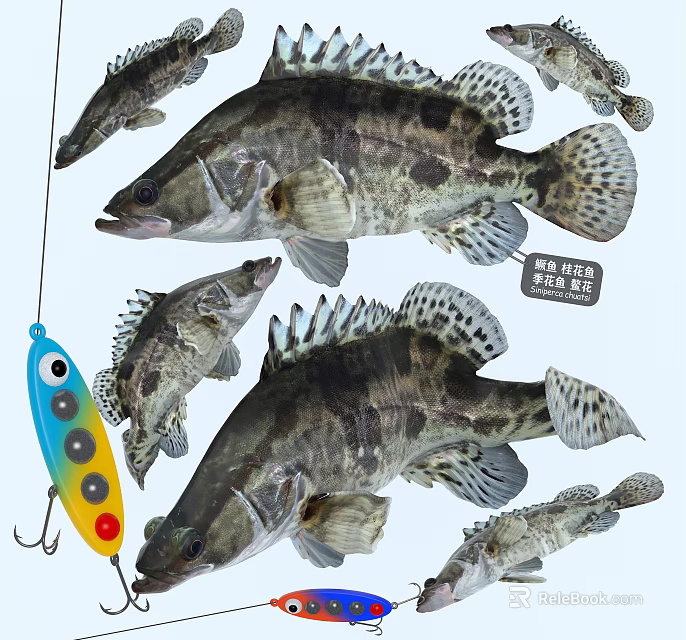 Multiple Mandarin Fish With Colorful Fishing Lure In Natural Fishing Scene 3d model 