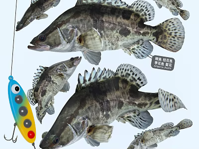 Multiple Mandarin Fish With Colorful Fishing Lure In Natural Fishing Scene 3d model